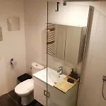 Loft Viarhona, Grand Loft En Centre-ville *