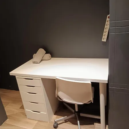 Loft Viarhona, Grand Loft En Centre-ville *