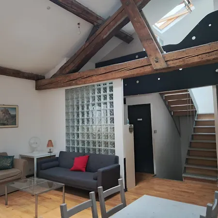 Loft Viarhona, Grand Loft En Centre-ville Homestay *