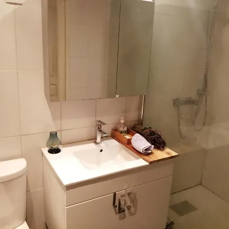 Loft Viarhona, Grand Loft En Centre-ville Homestay Lyon