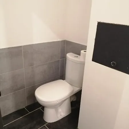 Loft Viarhona, Grand Loft En Centre-ville Homestay Lyon