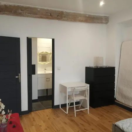 Homestay Loft Viarhona, Grand Loft En Centre-ville