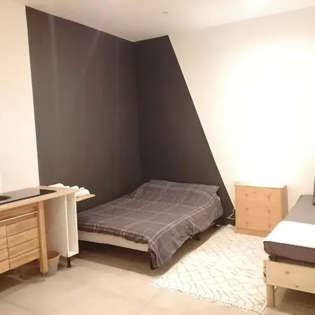 Homestay Loft Viarhona, Grand Loft En Centre-ville