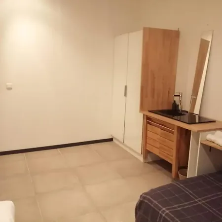 Loft Viarhona, Grand Loft En Centre-ville Homestay