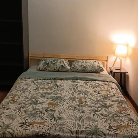 Homestay Loft Viarhona, Grand Loft En Centre-ville *