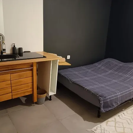 Loft Viarhona, Grand Loft En Centre-ville Homestay Lyon